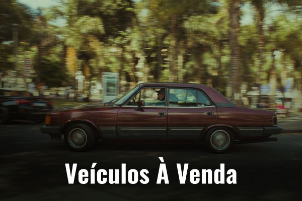Opala Diplomata à venda - Categorias de Classificados